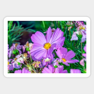 flowers in the field Sticker